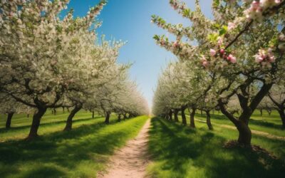 Czym i kiedy pryskać jabłonie wiosną?