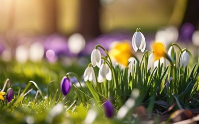Jakie kwiaty budzą się do życia wraz z nadejściem wiosny?