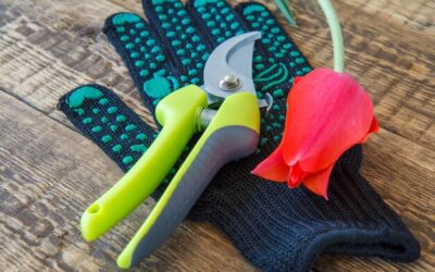 Czym czyścić narzędzia ogrodnicze, aby służyły dłużej?