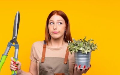 Czym czyścić sekator, by służył przez lata?