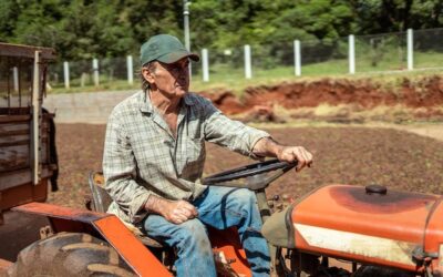 Glebogryzarka ile kosztuje i od czego zależy cena?