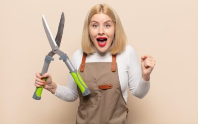 Ile kosztuje sekator i od czego zależy cena?