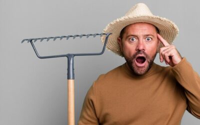 Jak motyka ułatwia pracę w ogrodzie?