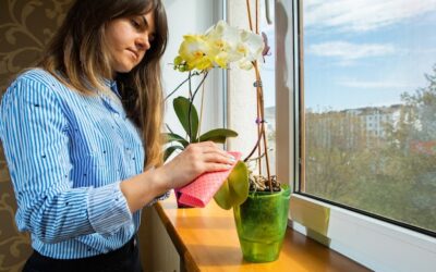 Jak ozdobić okno tarasowe, by stworzyć przytulny klimat w domu?