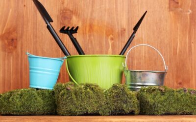 Jak powiesić narzędzia ogrodnicze w niewielkiej przestrzeni?