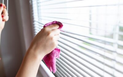 Jak wyczyścić rolety z pleśni bez ryzyka uszkodzenia?