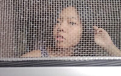 Moskitiera przesuwna czy plisowana – co lepiej sprawdzi się w Twoim domu?