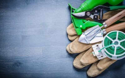 Narzędzia ogrodnicze jakiej firmy wybrać do domowego ogrodu?