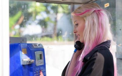 Ile kosztuje wypożyczenie wertykulatora i od czego to zależy?