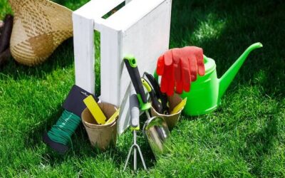 Jakie narzędzia ogrodnicze sprawdzą się w małym ogrodzie?